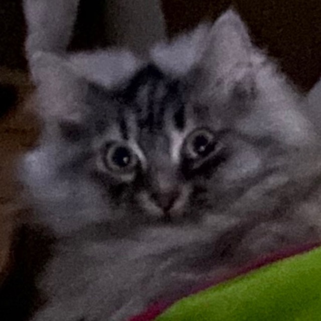Lasqa